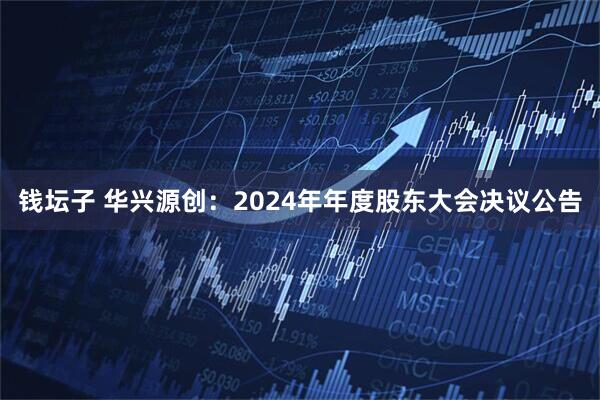 钱坛子 华兴源创：2024年年度股东大会决议公告