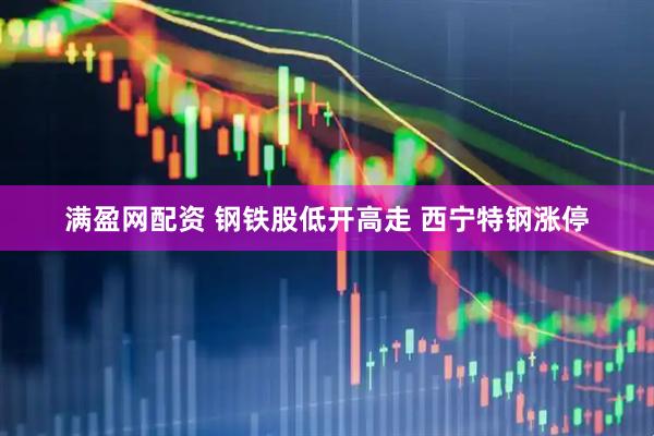 满盈网配资 钢铁股低开高走 西宁特钢涨停