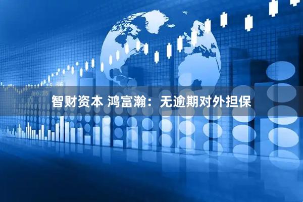 智财资本 鸿富瀚：无逾期对外担保